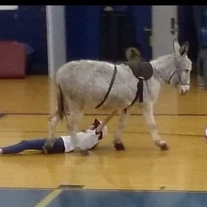 Meet your Posher, Constance